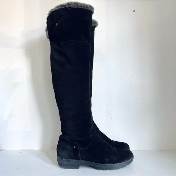 Aquatalia jordan suede tall boots hot sale